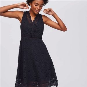 Loft Lace Fit and Flare Dress